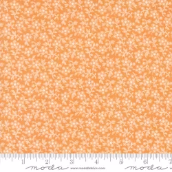 Denim and Daisies - Daisy Fields Butterscotch