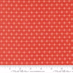 Rosie - Twinkling Star Strawberry Rosie - Twinkling Star Strawberry