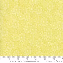 Flour Garden - Marguerite Sprouts - 25" Bolt End