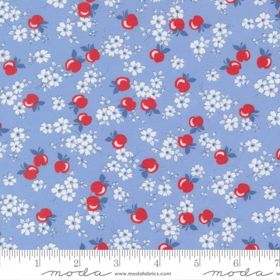 30's Playtime 2025 - *Bundle of 10 Fat Quarters with 1 Free (1)*