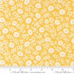 30's Playtime 2025 - Perky Posies Sunshine