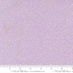 30's Playtime 2025 - Dotty Daisy Lilac