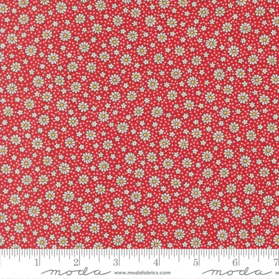 30's Playtime 2025 - *Bundle of 10 Fat Quarters with 1 Free (1)*