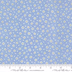 30's Playtime 2025 - Dotty Daisy Sky