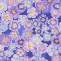 Delphinium - Complete Collection - PRE-ORDER DUE APRIL