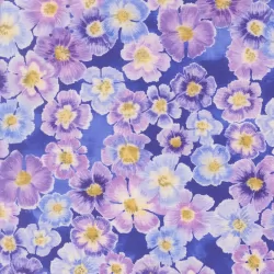 Delphinium - Auricula Agapanthus - PRE-ORDER DUE APRIL