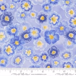 Delphinium - Auricula Bluebell - PRE-ORDER DUE APRIL