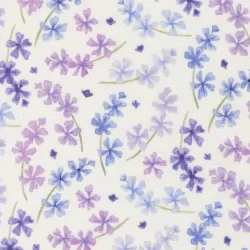Delphinium - Lilac Snowdrop - PRE-ORDER DUE APRIL