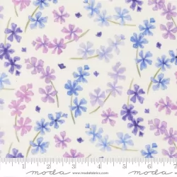 Delphinium - Lilac Snowdrop - PRE-ORDER DUE APRIL