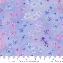 Delphinium - Lilac Bluebell - PRE-ORDER DUE APRIL