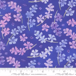Delphinium - Lilac Agapanthus - PRE-ORDER DUE APRIL