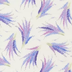 Delphinium - Larkspur Snowdrop - PRE-ORDER DUE APRIL