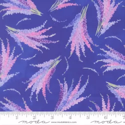 Delphinium - Larkspur Agapanthus - PRE-ORDER DUE APRIL