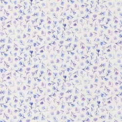 Delphinium - Sea Pink Snowdrop - PRE-ORDER DUE APRIL
