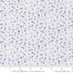 Delphinium - Sea Pink Snowdrop - PRE-ORDER DUE APRIL