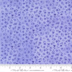 Delphinium - Sea Pink Bluebell - PRE-ORDER DUE APRIL