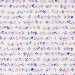 Delphinium - Daisy Chain Snowdrop - PRE-ORDER DUE APRIL