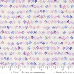 Delphinium - Daisy Chain Snowdrop - PRE-ORDER DUE APRIL