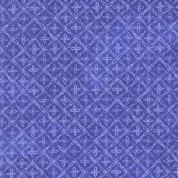 Delphinium - Flourish Agapanthus - PRE-ORDER DUE APRIL