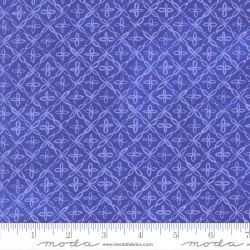 Delphinium - Flourish Agapanthus - PRE-ORDER DUE APRIL