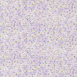 Delphinium - Palette Snowdrop - PRE-ORDER DUE APRIL