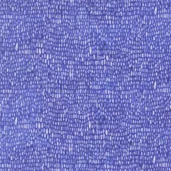 Delphinium - Palette Agapanthus - PRE-ORDER DUE APRIL