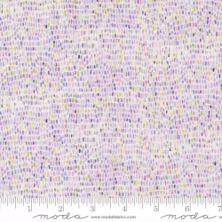 Delphinium - Palette Snowdrop - PRE-ORDER DUE APRIL