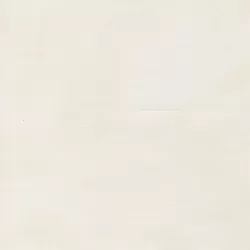 Delphinium - Shaded Snowdrop - PRE-ORDER DUE APRIL