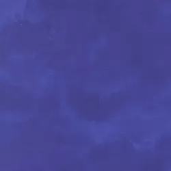 Delphinium - Shaded Agapanthus - PRE-ORDER DUE APRIL