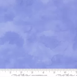 Delphinium - Shaded Bluebell - PRE-ORDER DUE APRIL