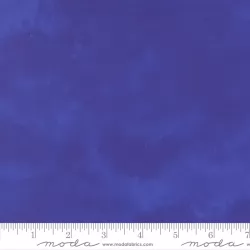 Delphinium - Shaded Agapanthus - PRE-ORDER DUE APRIL
