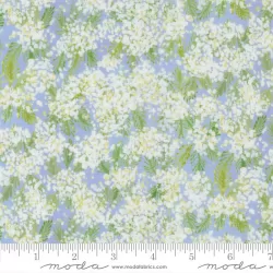 Sweet Cecily - Queen Anne Hyacinth