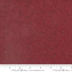 Daisy Lane - Cloudy Skies Carnation