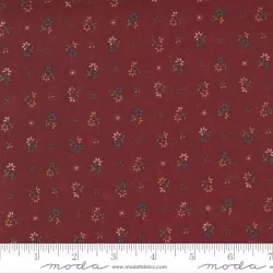 Hope Blooms - Lazy Daisy Rose