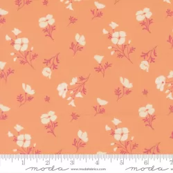 Cannon Beach - Astoria Peach - PRE-ORDER DUE MARCH