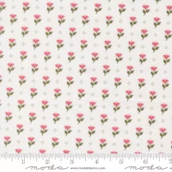 Wild Honey - Bumbling Posies Daisy Wild Honey - Bumbling Posies Daisy