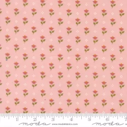 Wild Honey - Bumbling Posies Carnation Wild Honey - Bumbling Posies Carnation