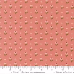 Wild Honey - Bumbling Posies Rose Water