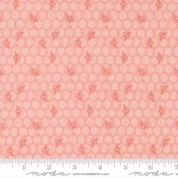 Wild Honey - Honeycomb Carnation