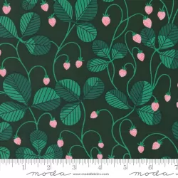 Love Letter by Lizzy House - Virginia Hunter Love Letter by Lizzy House - Virginia Hunter