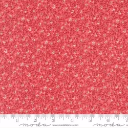 Lyda Rose - Wild Rose Petal