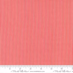 Lyda Rose - Stripes Galore Petal