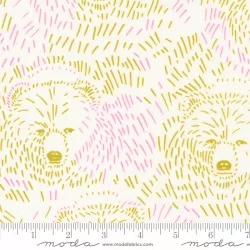 Marigold - Bears Daisy