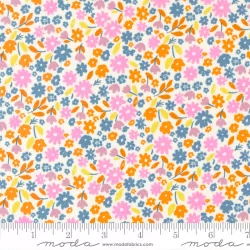 Marigold - Summer Daisy