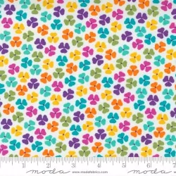 Petal Power - Petal Pushers Wow White