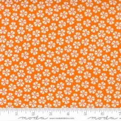 Petal Power - Petal Pushers Over Orange