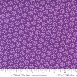 Petal Power - Petal Pushers Peppy Purple