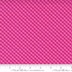 Petal Power - Bias Plaid Popping Pink