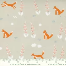 Meander - Foxes Cloud