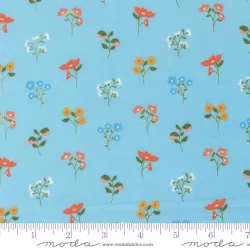 Dainty Meadow - Wildflowers Sky